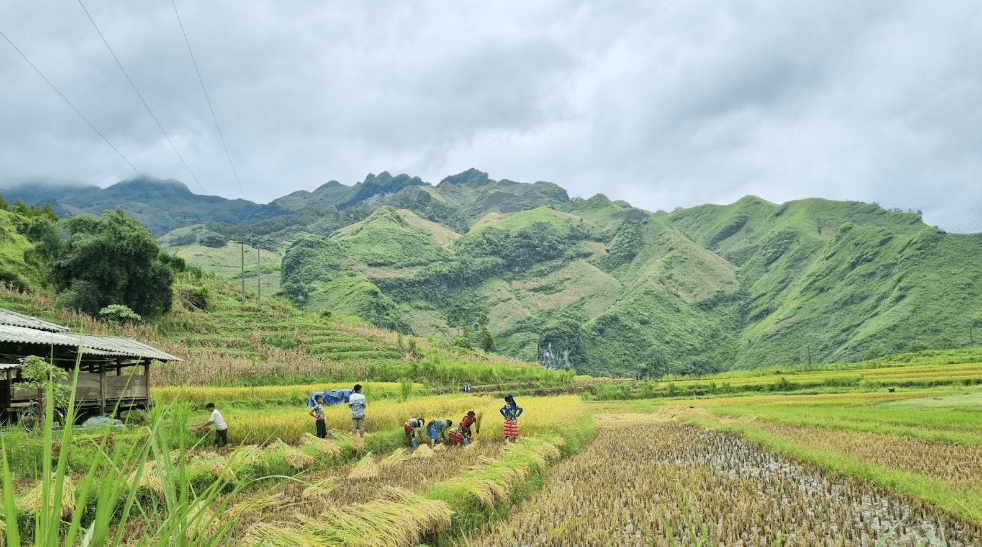 Thong Nguyen - Sapa 